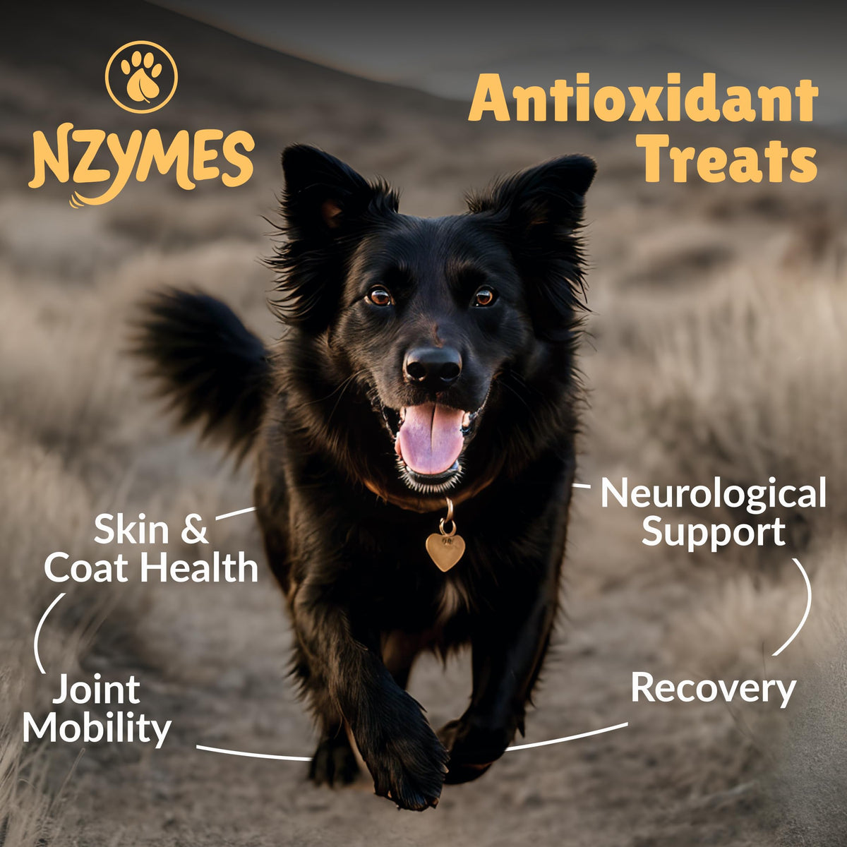 Antioxidant Dog Treats, 180 Count G4568