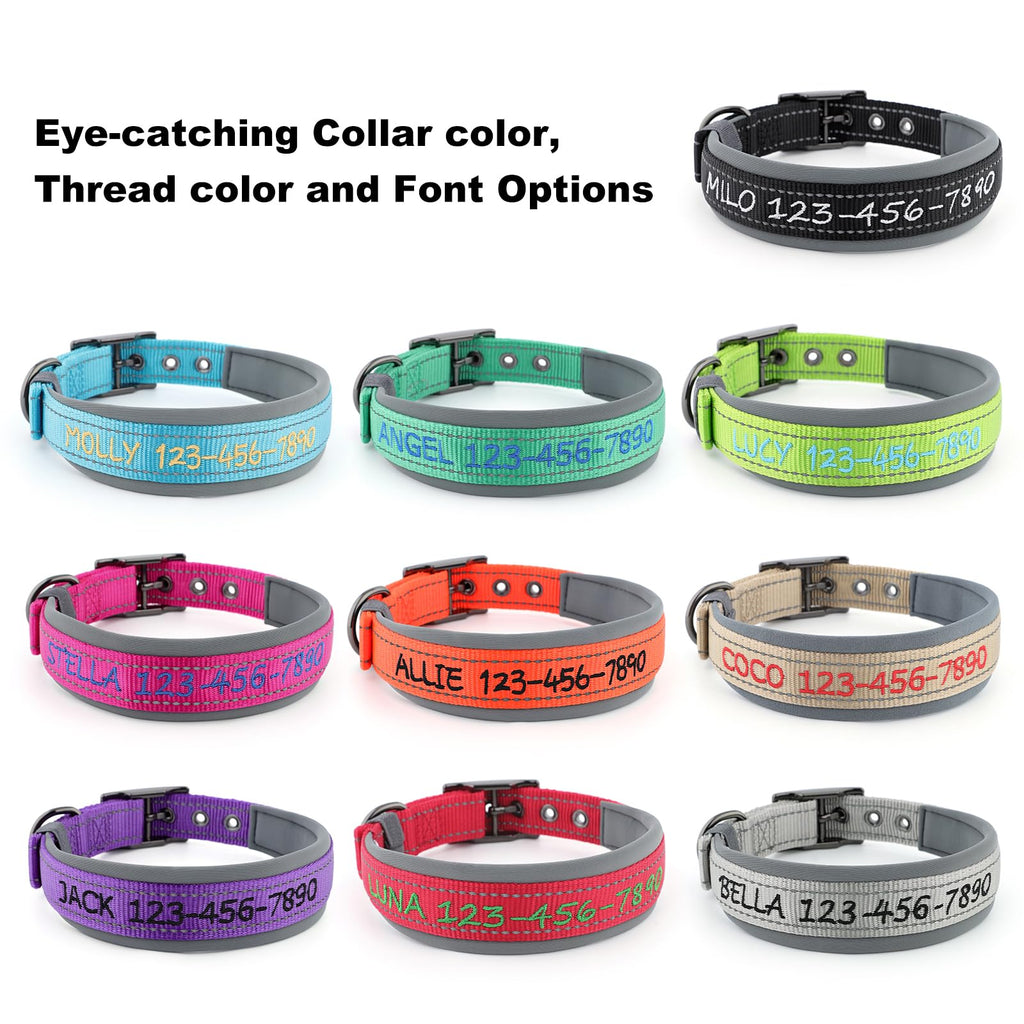 Personalized Dog Collar K33623