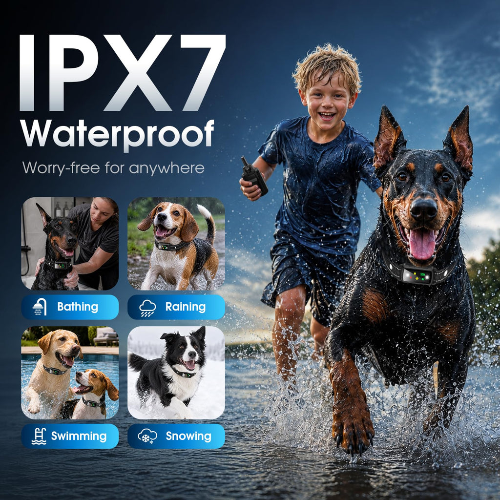 2 Dogs Waterproof Dog Training Collar with Remote O9809