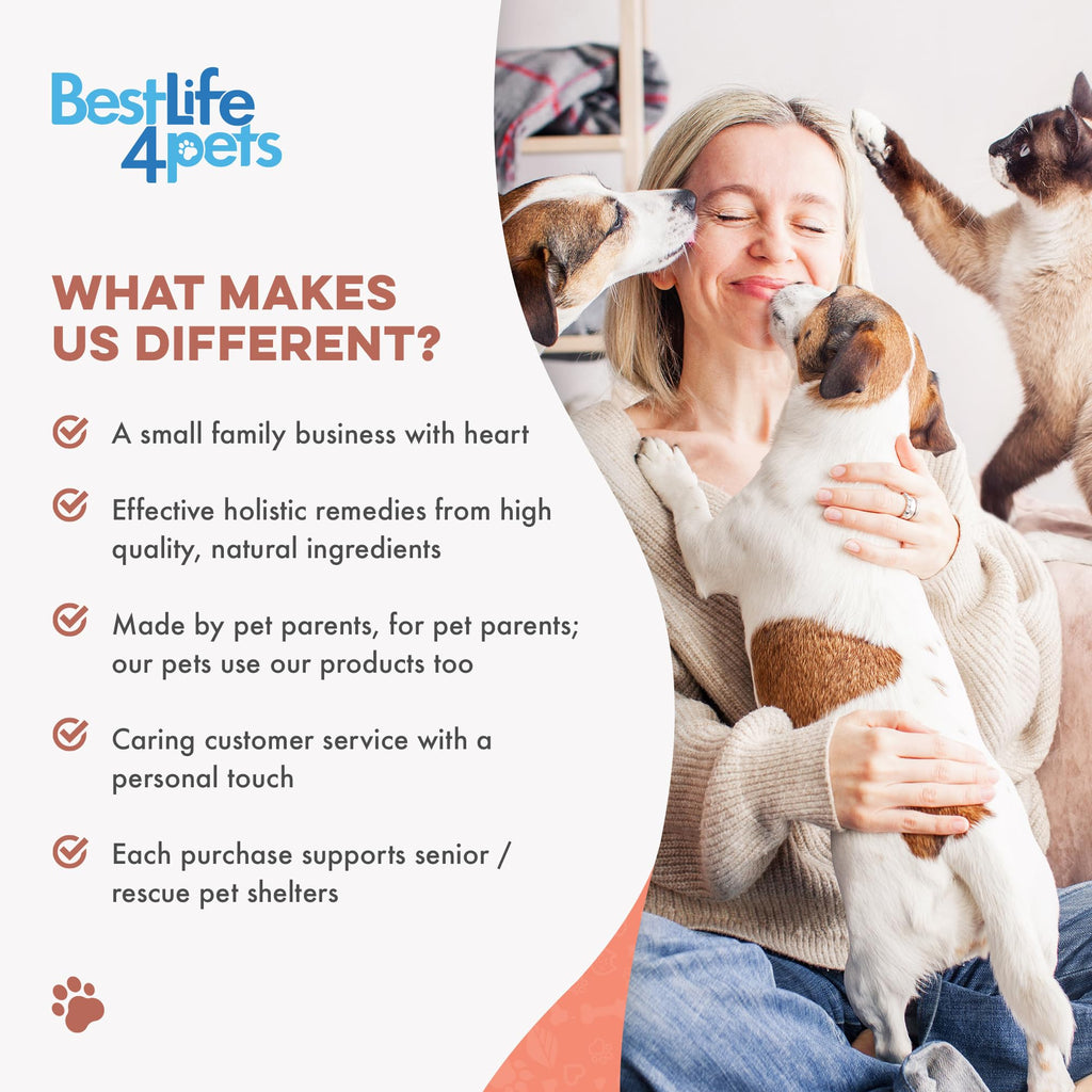 Cat Itchy Skin Relief & Hair Loss Treatment 400 Pills I9087
