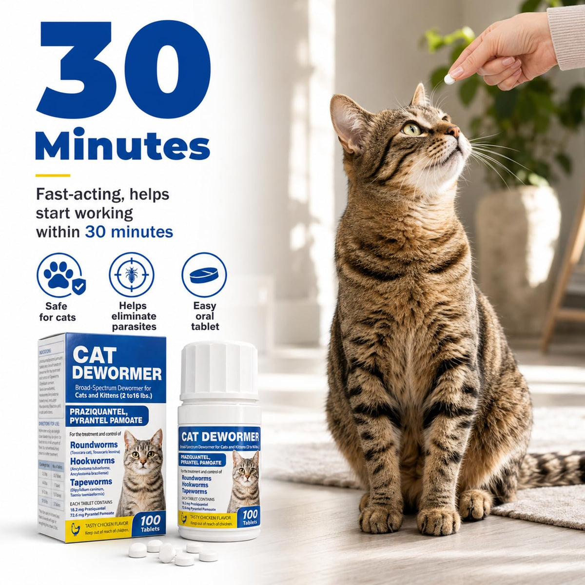 Cat and Kitten Dewormer 100 Tablets T2878