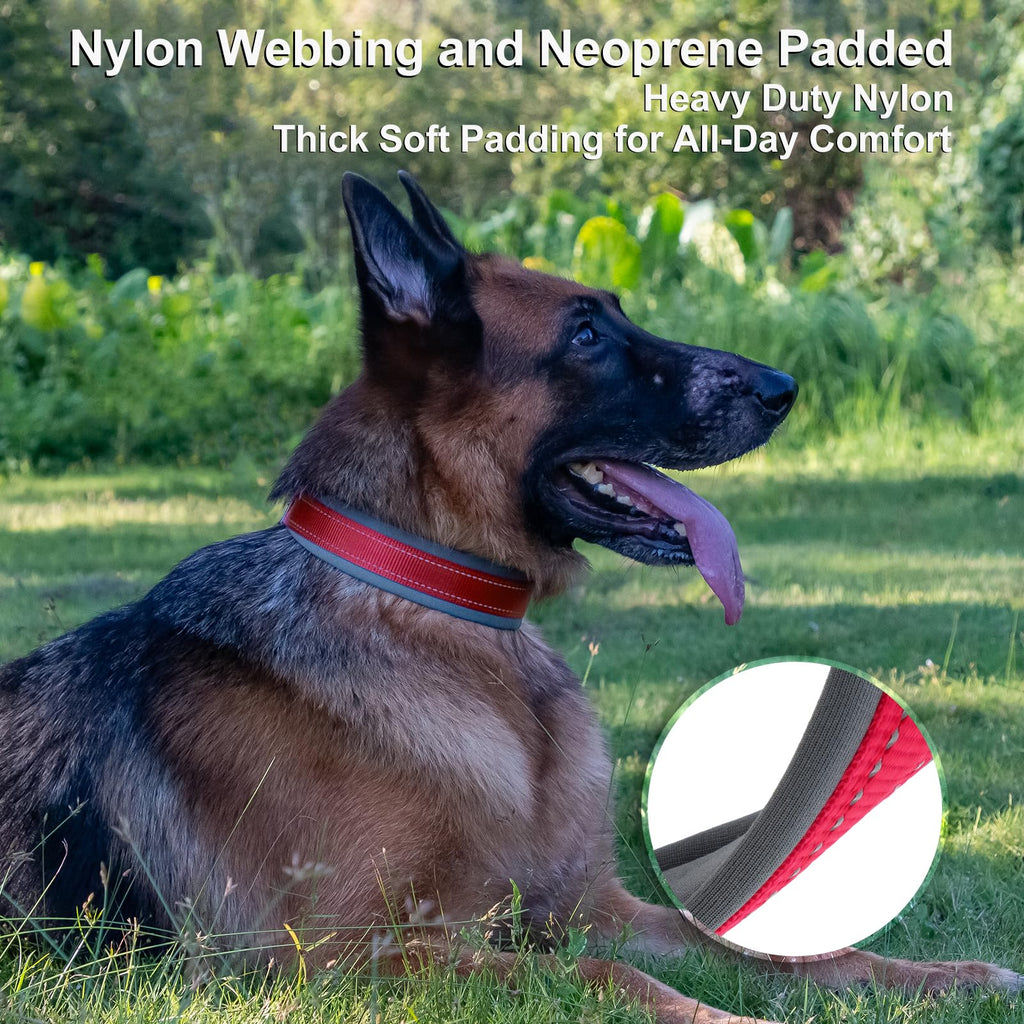 Personalized Dog Collar K33623