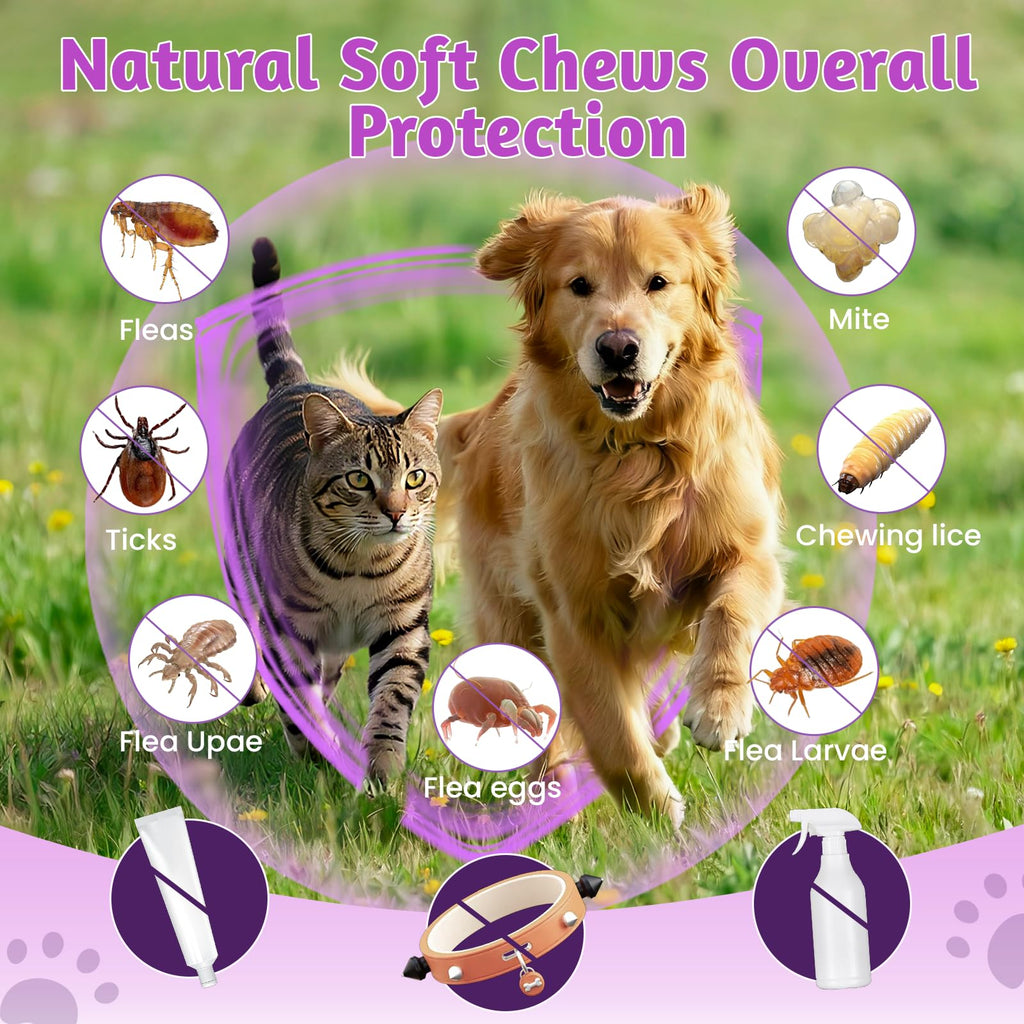 Dog Flea and Tick Treatment Soft Chews G33353