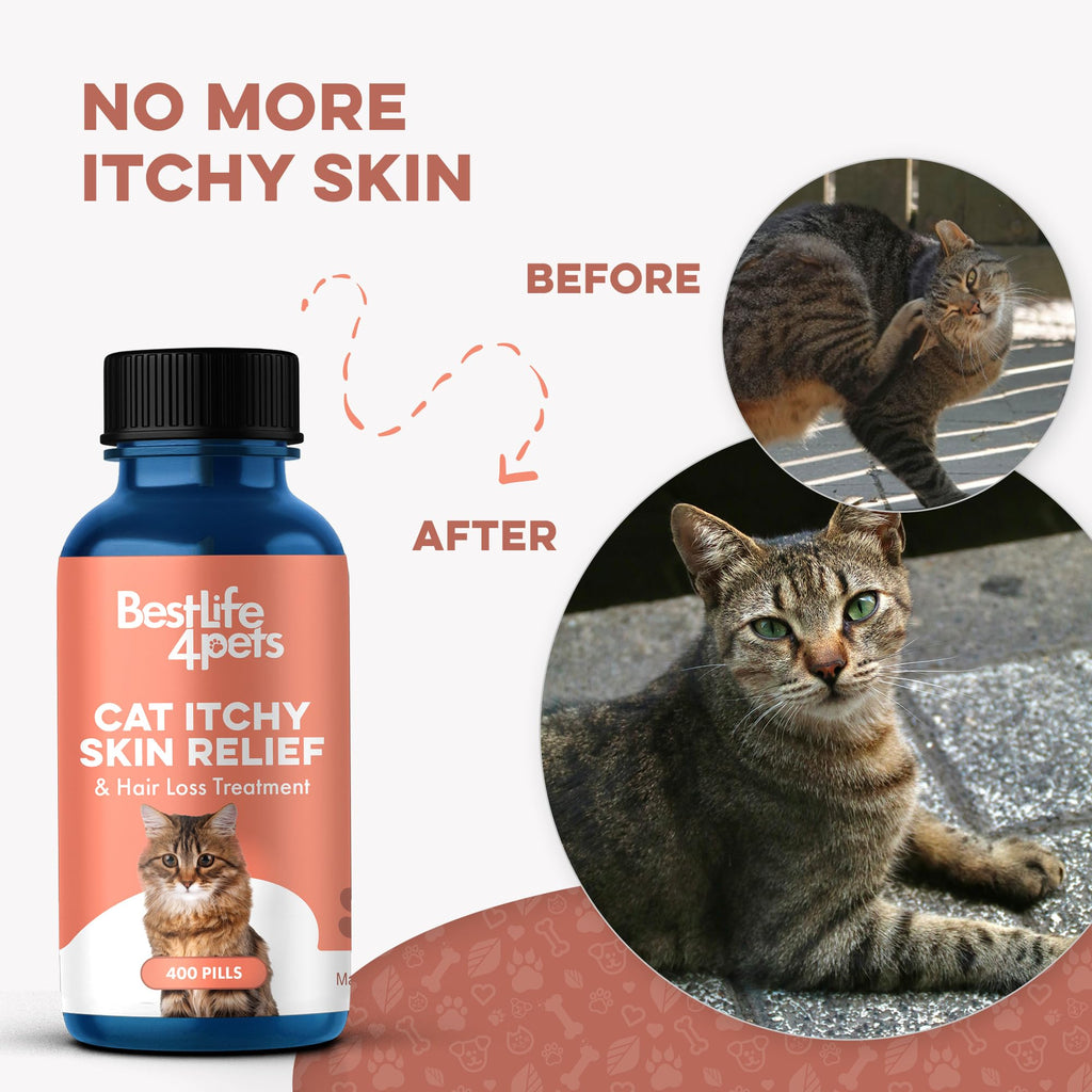 Cat Itchy Skin Relief & Hair Loss Treatment 400 Pills I9087