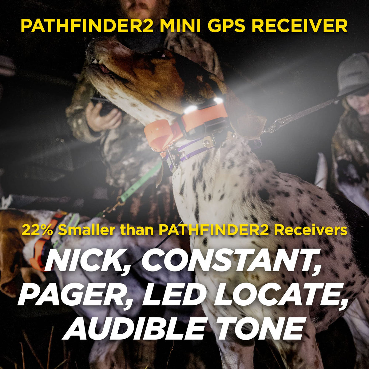 Rechargeable GPS Training Collar with Remote F53758