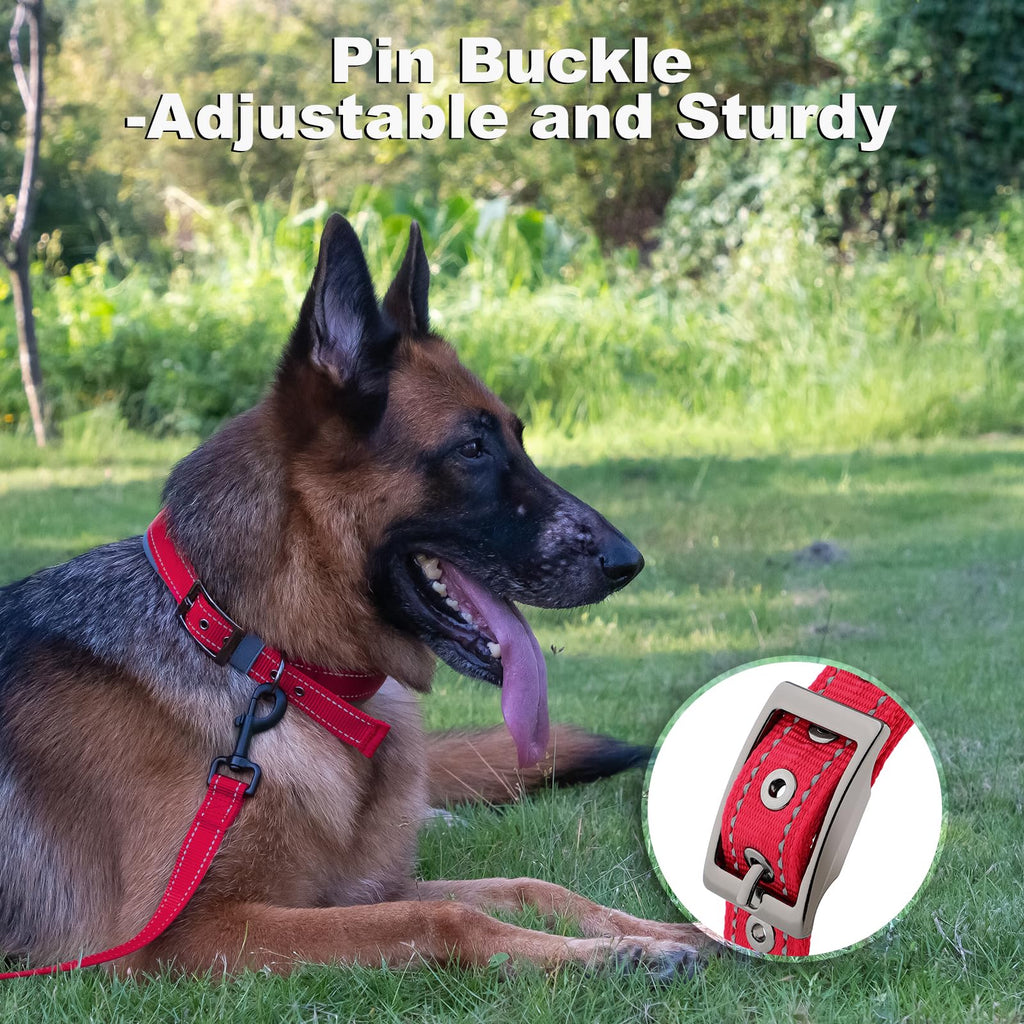 Personalized Dog Collar K33623