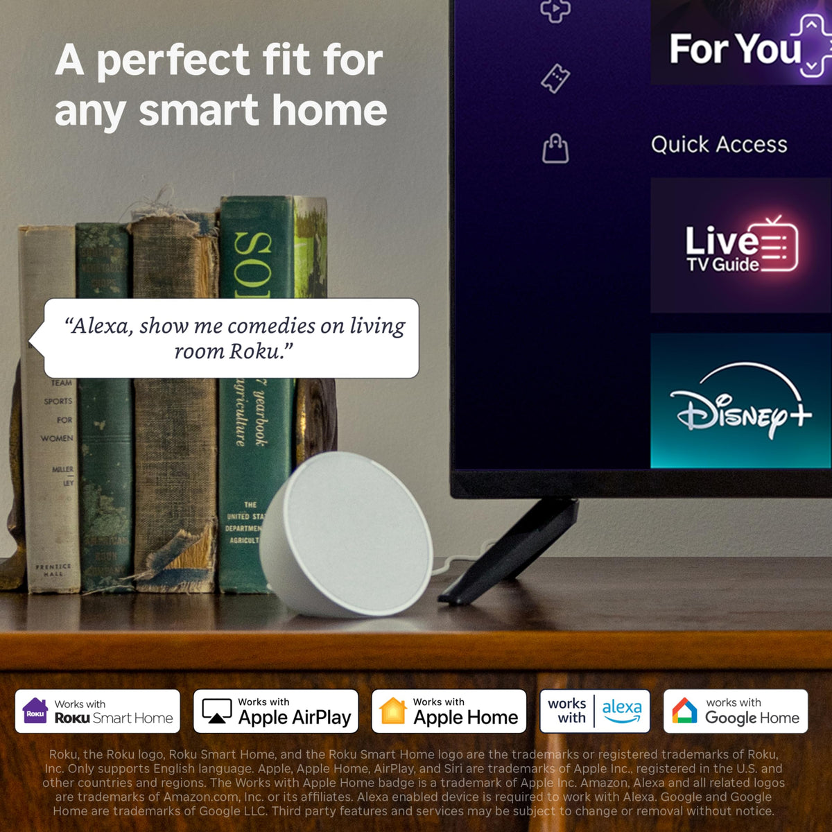 24-Inch Smart TV E94564