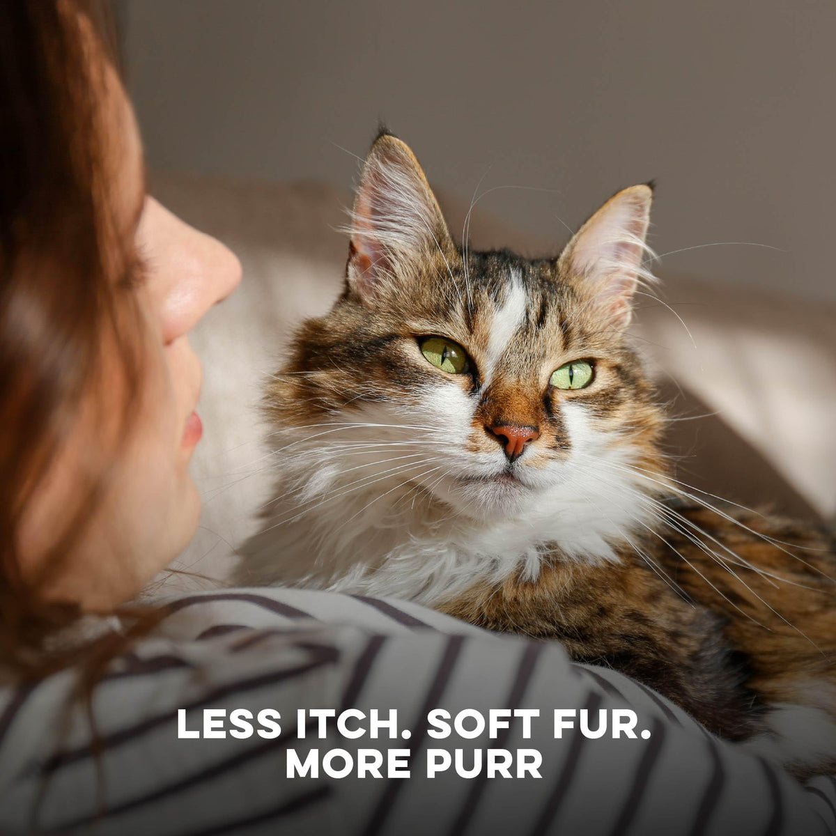 Cat Itchy Skin Relief & Hair Loss Treatment 400 Pills I9087