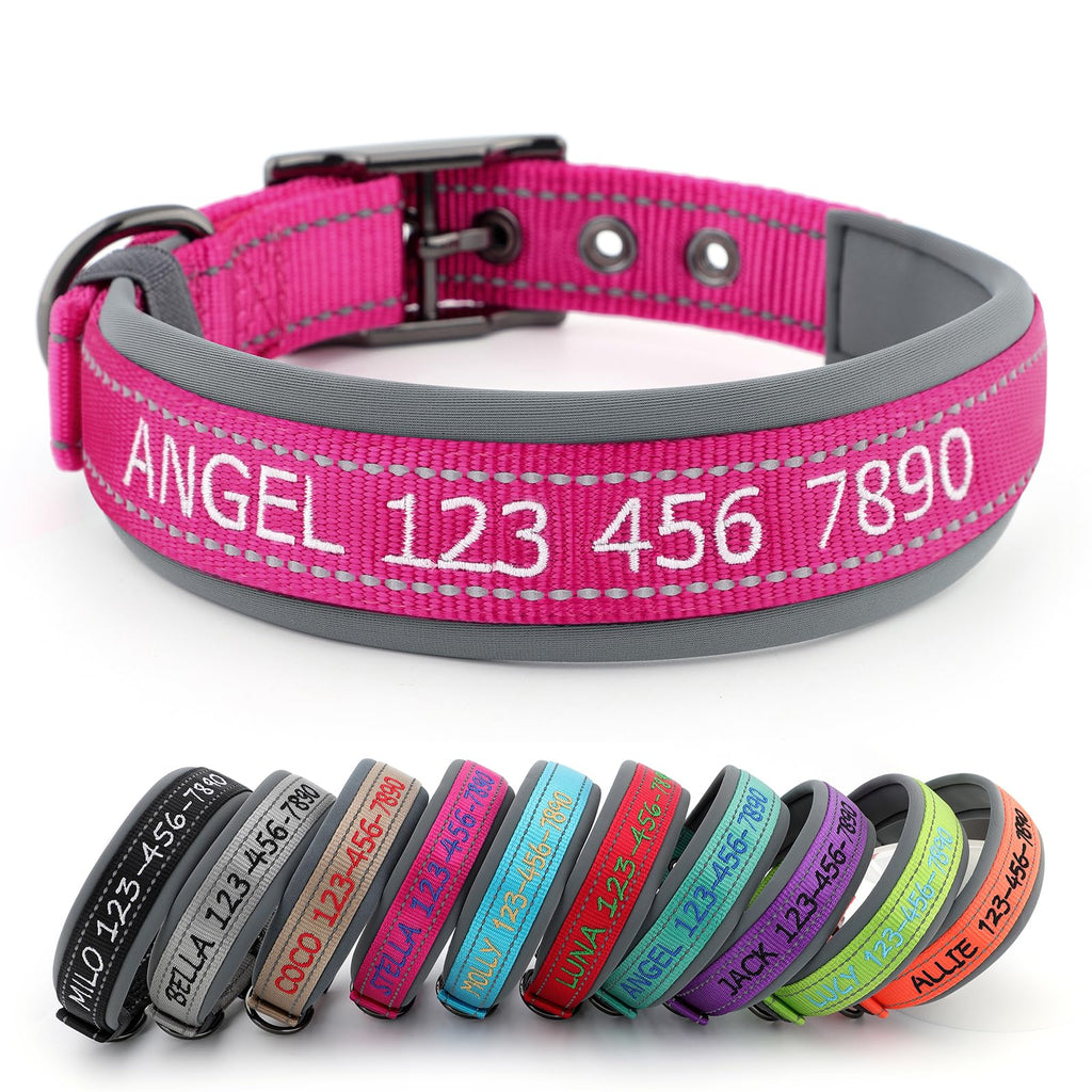 Personalized Dog Collar K33623