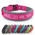 Personalized Dog Collar K33623