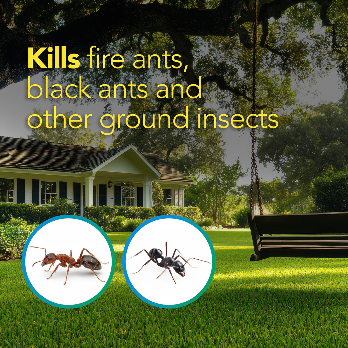 Ultra Dust Fire Ant Killer 12 Oz L7606