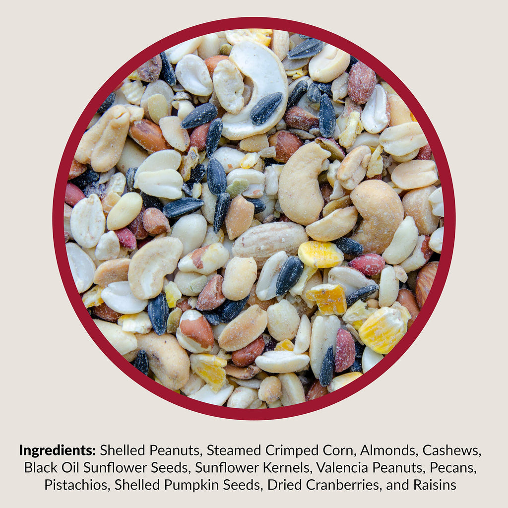 Fruit and Nut Wild Bird Seed Mix 20 lbs L7899