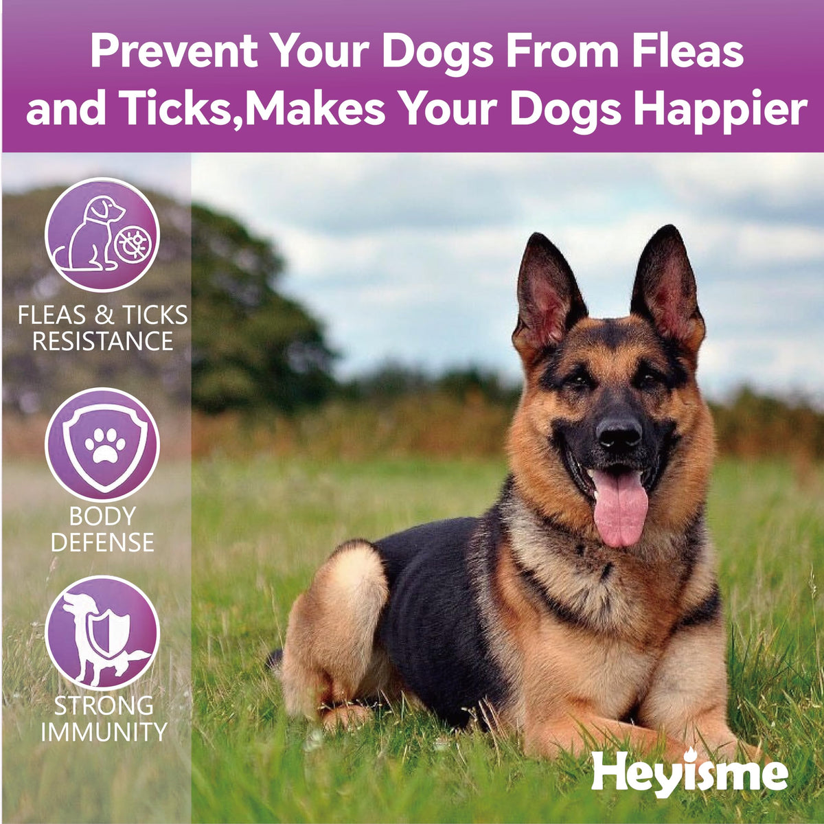 Flea and Tick Chewables for Dogs Chicken 120 Chews Q12909
