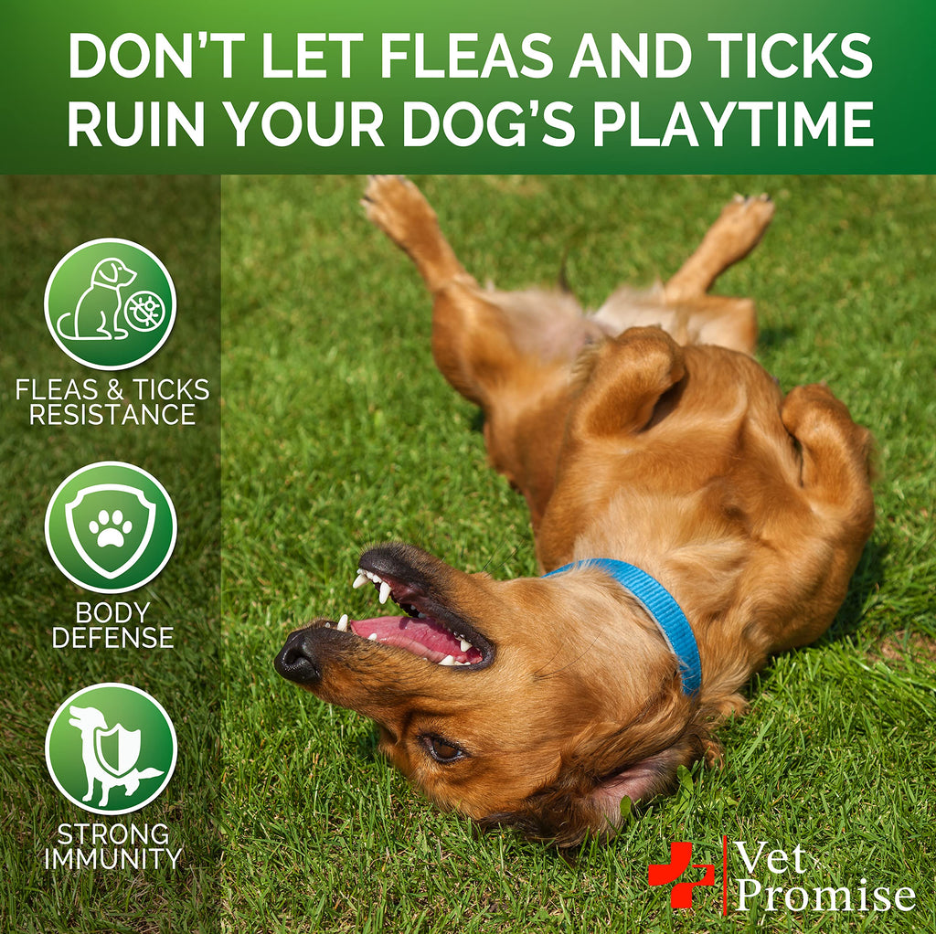 Flea and Tick Prevention for Dogs Chewables Z333319